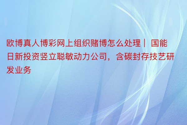 欧博真人博彩网上组织赌博怎么处理 |  国能日新投资竖立聪敏动力公司，含碳封存技艺研发业务