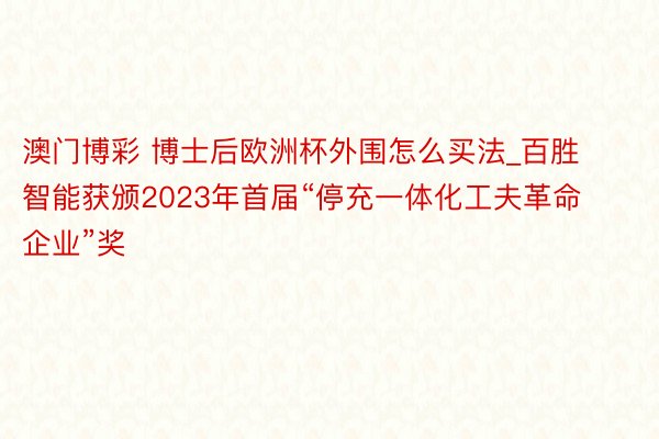 澳门博彩 博士后欧洲杯外围怎么买法_百胜智能获颁2023年首届“停充一体化工夫革命企业”奖